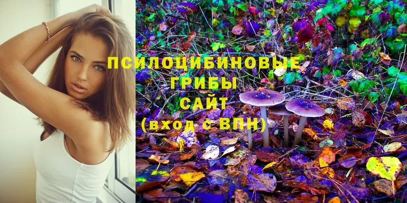 Псилоцибиновые грибы Psilocybine cubensis  продажа наркотиков  Лыткарино 